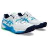 Pánská tenisová obuv Asics Resolution 9 Clay 1041A375-103