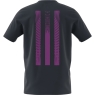 Pánské tričko Adidas Tennis 3S Graphic Tee IW0150 modré