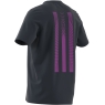 Pánské tričko Adidas Tennis 3S Graphic Tee IW0150 modré