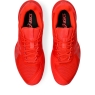 Pánská tenisová obuv Asics Solution Speed FF 3 Clay 1041A437-600