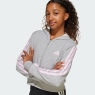 Dívčí mikina Adidas Essentials Full-Zip Hoodie Kids JJ0949 šedá