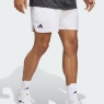 Tenisové kraťasy Adidas Club Tennis Graphic Short 7 JM1200