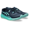 Pánská tenisová obuv Asics Gel-Resolution X Clay 1041A485-404