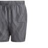 Pánské kraťasy Adidas Club Tennis Graphic Shorts IP1884 černé